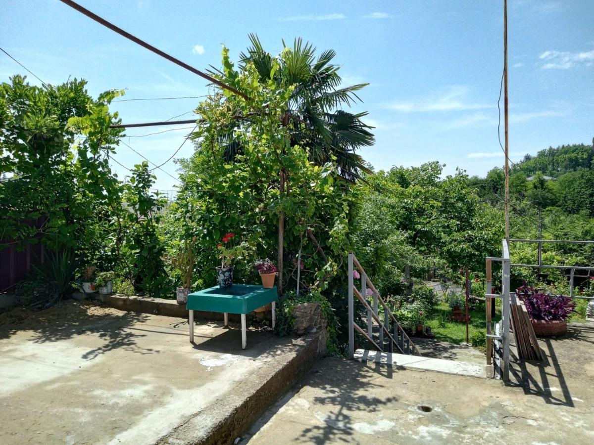 Nunu'S Guesthouse Tskaltubo Exterior photo